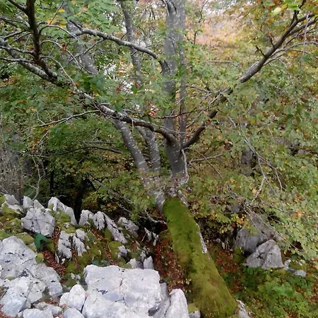 El Cerro Dom wakacyjny