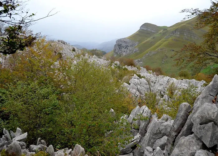 El Cerro * La Concha (San Roque de Riomiera)