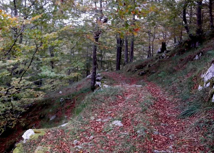 El Cerro 펜션 La Concha (San Roque de Riomiera)